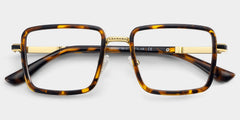 Hunter Square Tortoise mixed Glasses