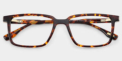 Cyrus Rectangle Tortoise mixed Glasses